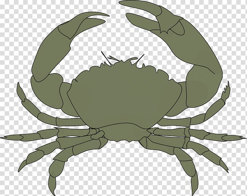 Chesapeake blue crab Art, crab transparent background PNG clipart