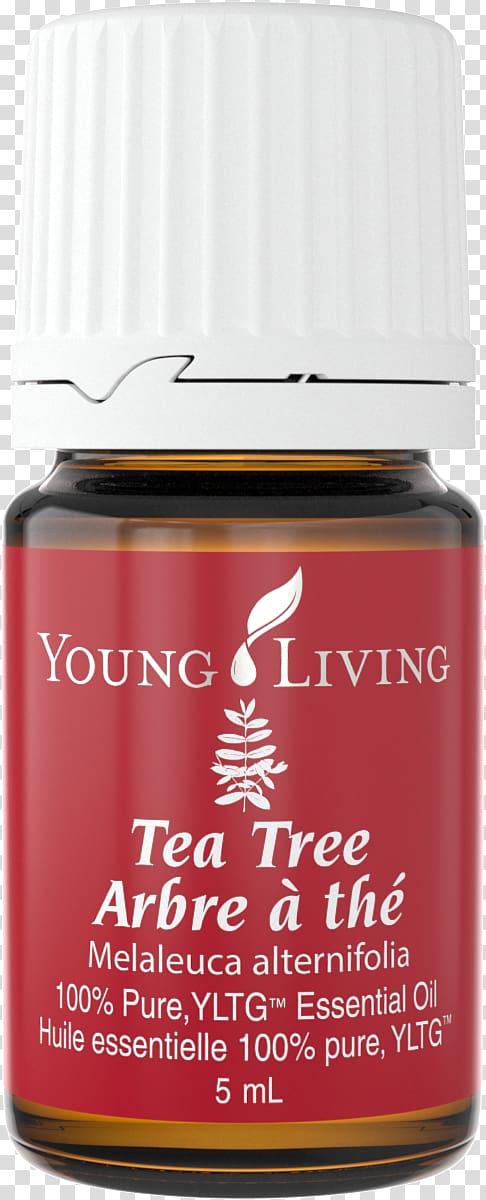 Young Living Essential Oil 15ml Vetiver by Young Living, 5 ml, frankincense essential oil moles transparent background PNG clipart