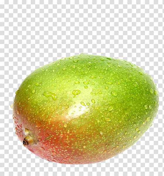 Fruit Food Mango Guava Eating, mango tree transparent background PNG clipart