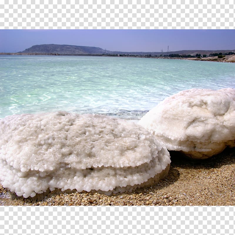 Dead Sea salt Shore Salinity, sea transparent background PNG clipart