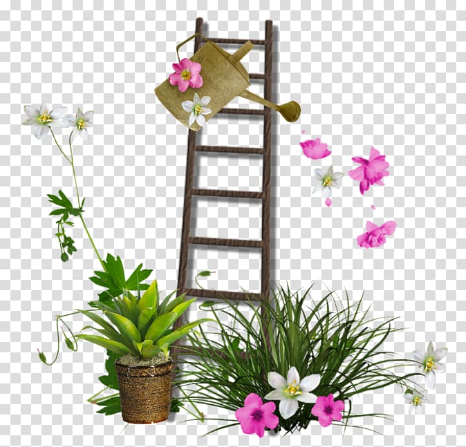 Garden , ladder transparent background PNG clipart