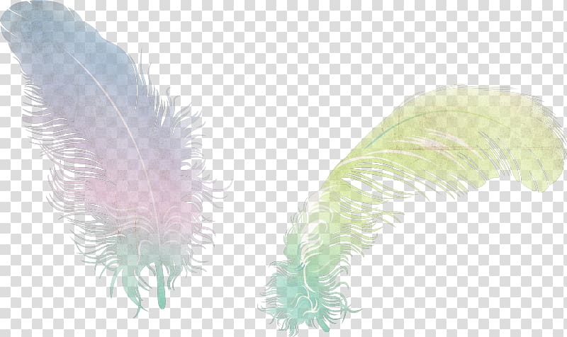 Feather Desktop Animaatio , golden wings transparent background PNG clipart