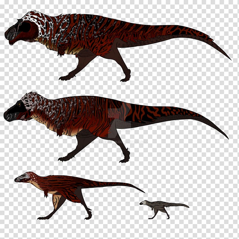 Tyrannosaurus Dinosaur Velociraptor Reptile Dimetrodon, Tyrannosaurus transparent background PNG clipart
