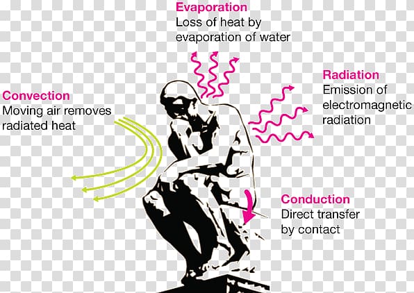 Heat transfer Thermal conduction Human body Thermal energy, examples of radiation transparent background PNG clipart