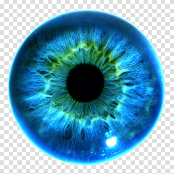 Iris recognition Eye color Pupil, hi res transparent background PNG clipart