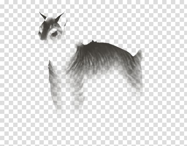 Whiskers Balinese cat Domestic short-haired cat Dog breed, Dog transparent background PNG clipart