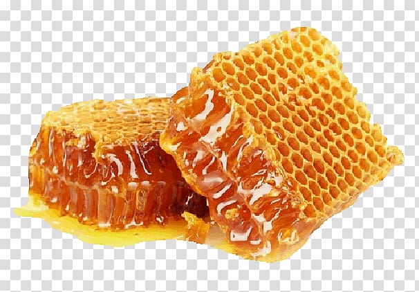 Bee Mead Honeycomb Food, bee transparent background PNG clipart
