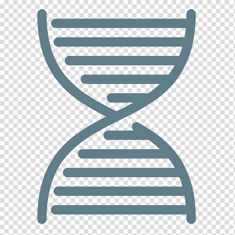 Nucleic acid double helix DNA Computer Icons, line transparent background PNG clipart