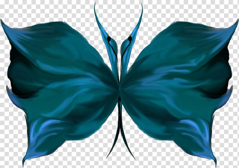 Butterfly Blue , Creative blue butterfly transparent background PNG clipart
