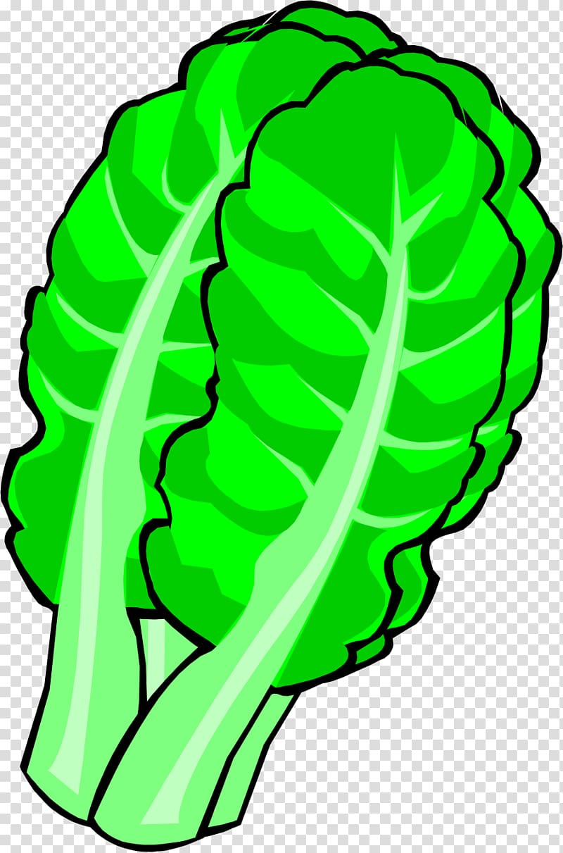Chinese cabbage Leaf vegetable , Chinese cabbage transparent background PNG clipart