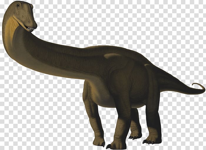 Apatosaurus Brontosaurus Ankylosaurus Tyrannosaurus Allosaurus, dinosaur transparent background PNG clipart