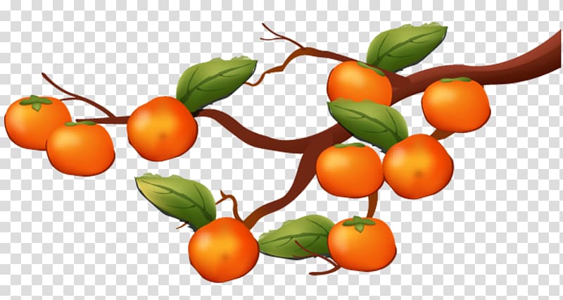 painted persimmon tree transparent background PNG clipart