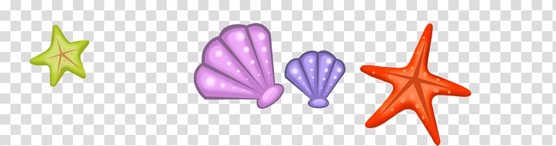 Starfish Seashell Biology Euclidean , Conch shell transparent background PNG clipart