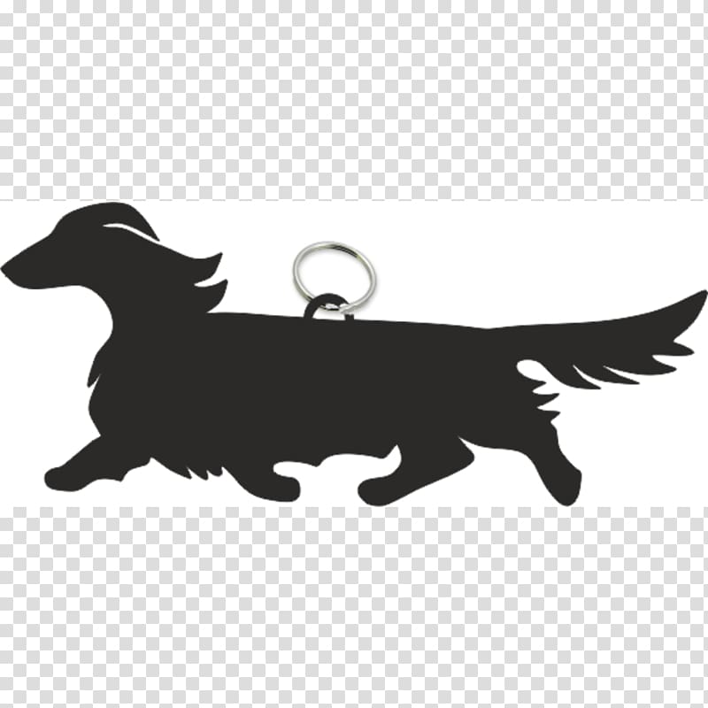 Dachshund German Wirehaired Pointer Puppy Basset Hound Teckel à poil dur, puppy transparent background PNG clipart
