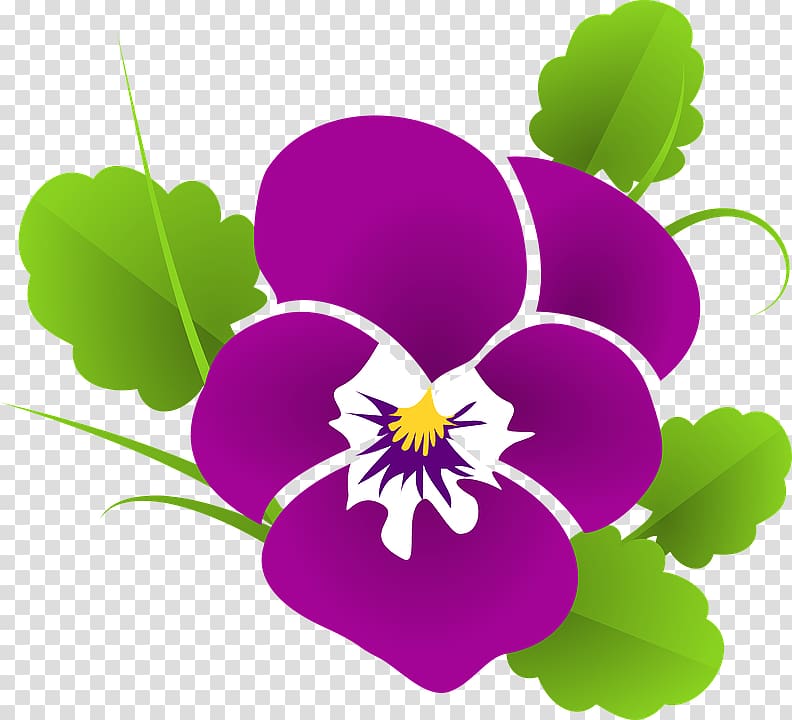 Violet Pansy , violet transparent background PNG clipart