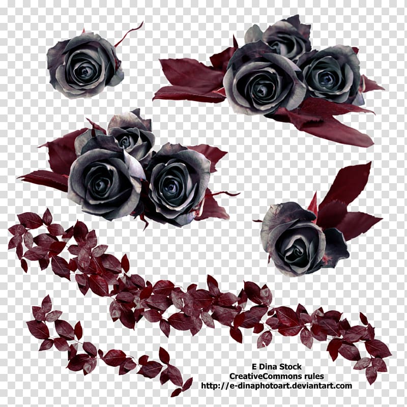 gray roses painting, Black rose Flower, Gothic Rose Free transparent background PNG clipart