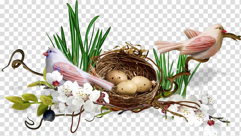 Easter Paschal greeting , nest transparent background PNG clipart