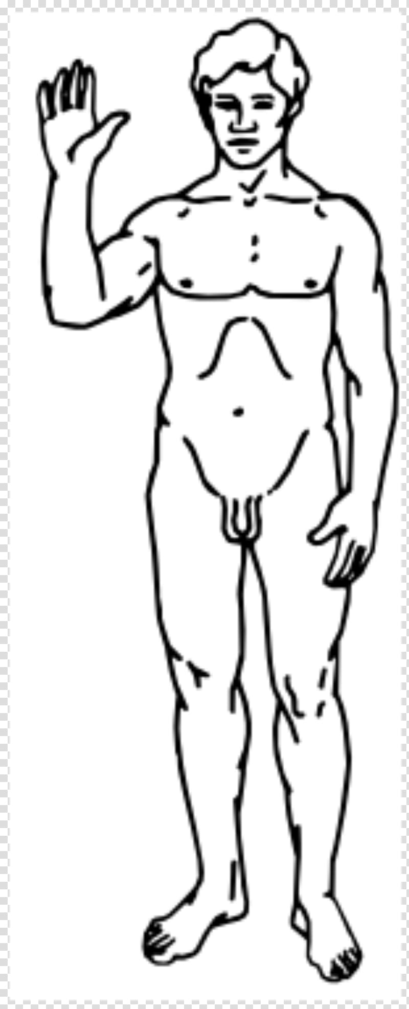 Man Homo sapiens Raster graphics, gentleman transparent background PNG clipart