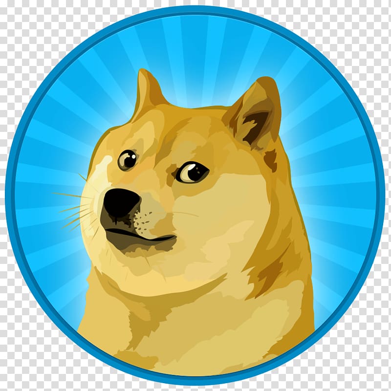 doge cryptocurrency wallet