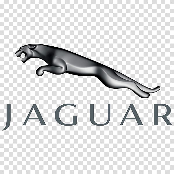 Jaguar Cars Land Rover BMW, jaguar transparent background PNG clipart