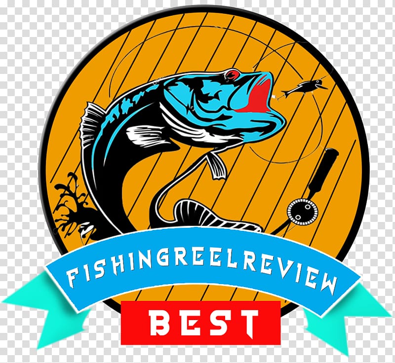 Fishing Reels Spin fishing Surf fishing, Fishing transparent background PNG clipart