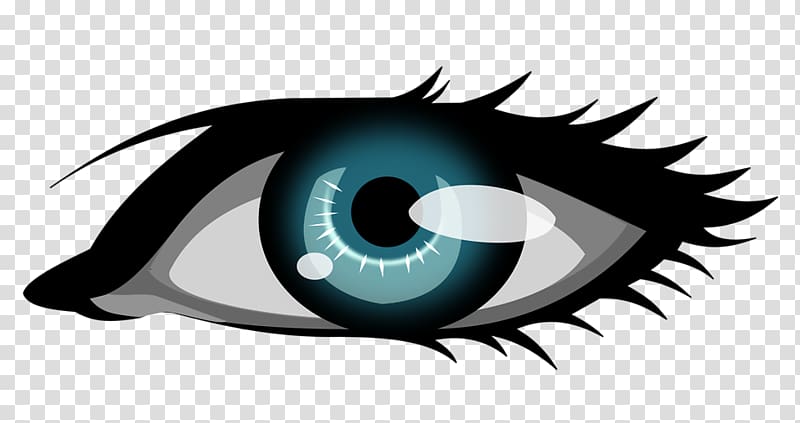 Eye , Human Eye transparent background PNG clipart