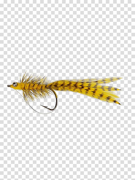 Woolly Bugger Roundworms Fly fishing Fishing bait, Mount Holly Springs transparent background PNG clipart