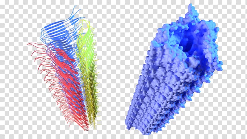 3D computer graphics Fibril Amyloid beta Fractal, lovely deformed cancer cell transparent background PNG clipart