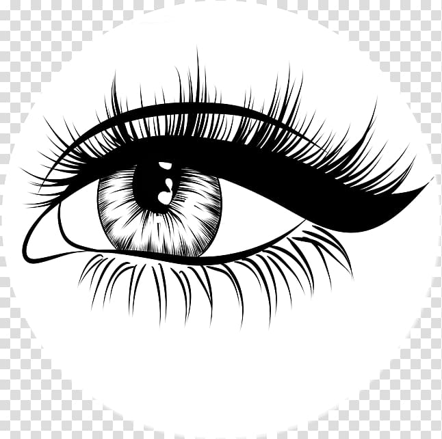 Drawing Eyebrow, Eye transparent background PNG clipart