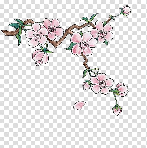 Japan Cherry blossom Drawing Sticker, Hand-painted cherry transparent background PNG clipart