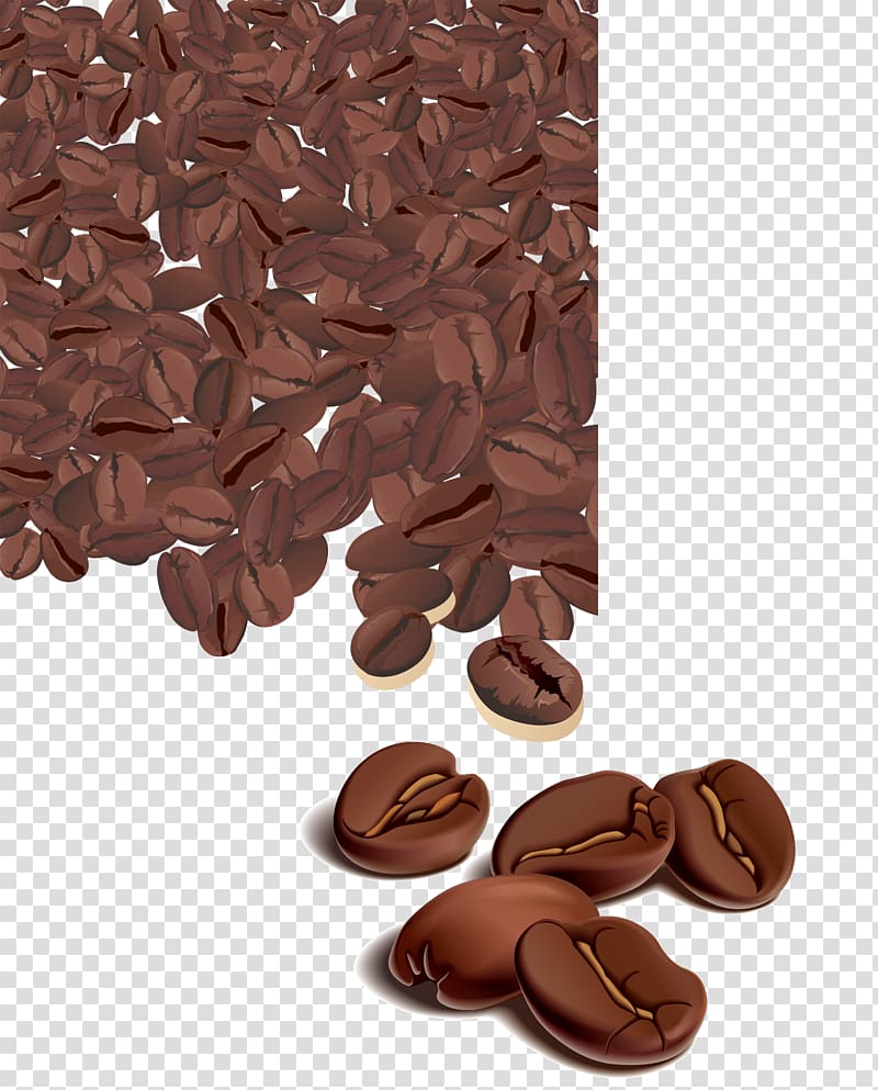 Arabica coffee Cafe Coffee bean, Beautiful coffee beans transparent background PNG clipart