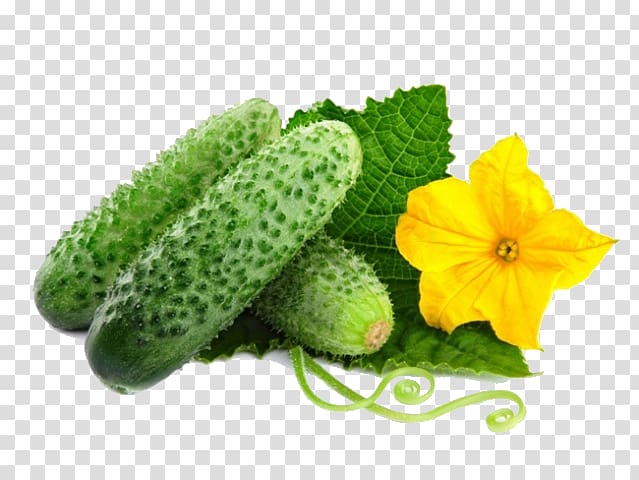 Pickled cucumber Vegetable Salad Rassolnik, cucumber transparent background PNG clipart