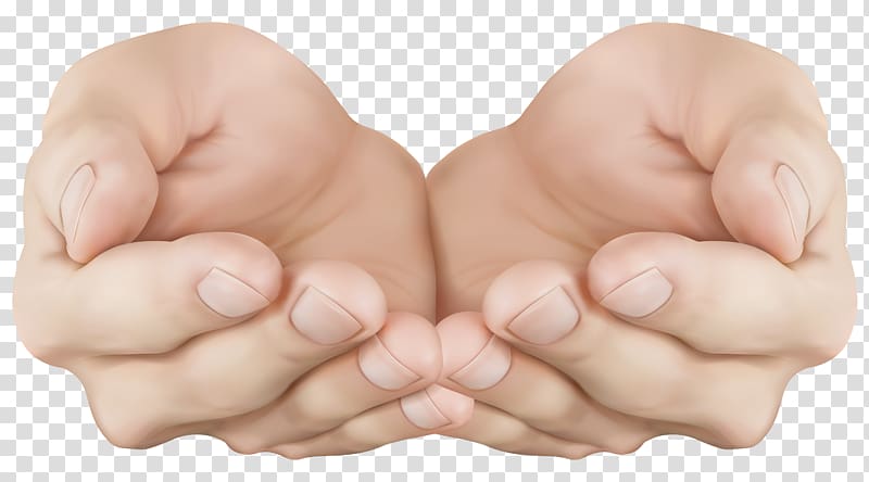 Hand , Cupped Hands , person's hands transparent background PNG clipart