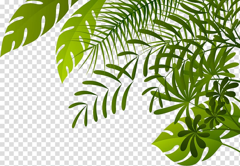 green leaves illustration, Ampera Bridge , Jungle transparent background PNG clipart