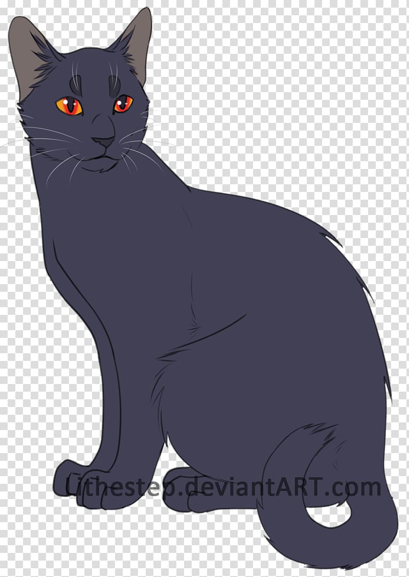 Chartreux Korat Bombay cat American Wirehair Manx cat, kitten transparent background PNG clipart