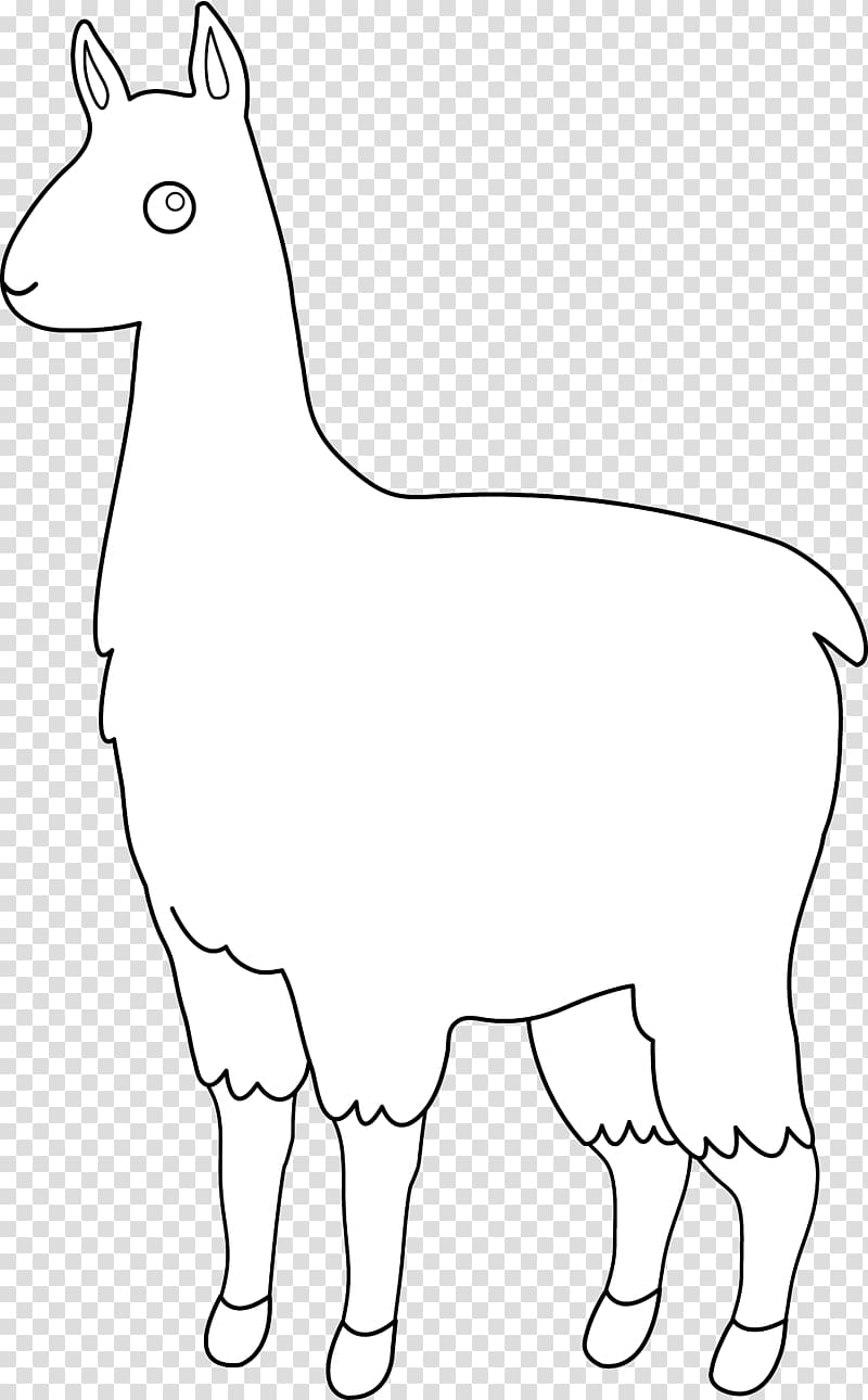 Llama Alpaca Line art , Llama Outline transparent background PNG clipart