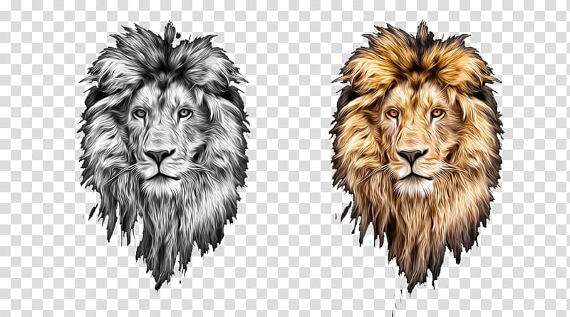 Lions Head Lionhead rabbit, Two hand-painted lion head transparent background PNG clipart