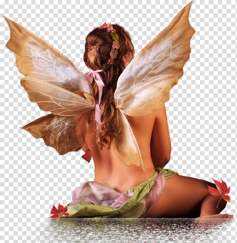 Fairy Féerie Angel Time, Fairy transparent background PNG clipart