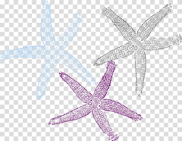 Starfish Drawing Invertebrate, hawaii posters transparent background PNG clipart