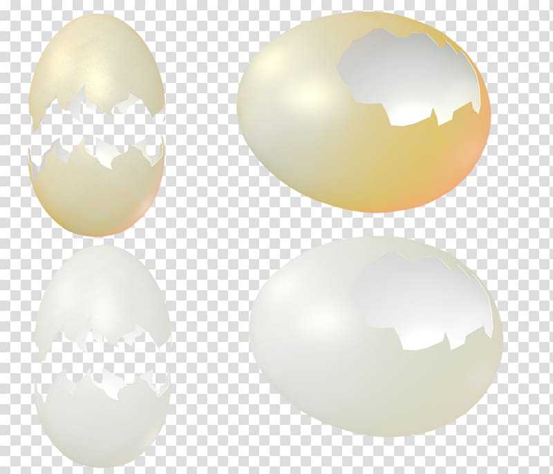 Eggshell , eggshell transparent background PNG clipart | HiClipart