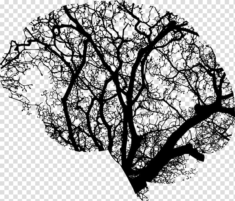 Human brain Brain injury Tree Skull, Brain transparent background PNG clipart