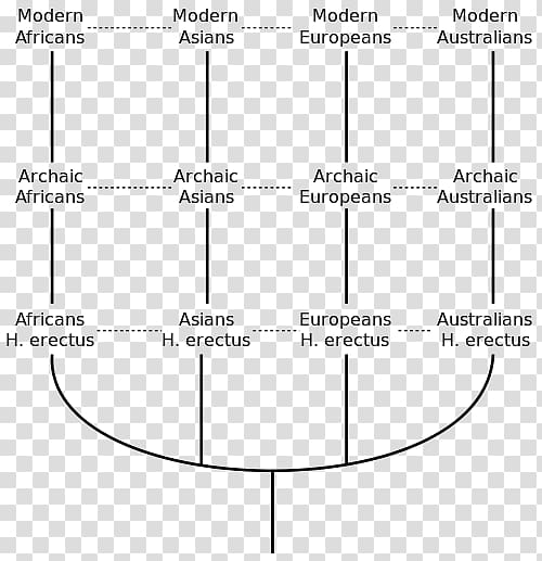 Multiregional origin of modern humans Recent African origin of modern humans Human evolution Homo sapiens Archaic humans, Civilization homo transparent background PNG clipart