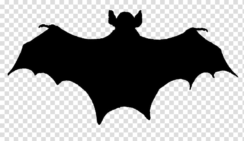Bat Silhouette , bat transparent background PNG clipart