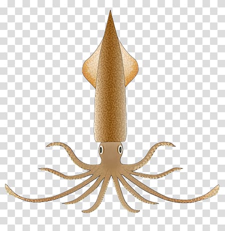 Squid transparent background PNG clipart