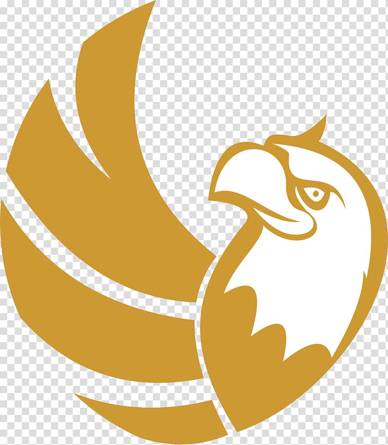Bird Falcon Logo Eagle, Golden eagle silhouette transparent background PNG clipart