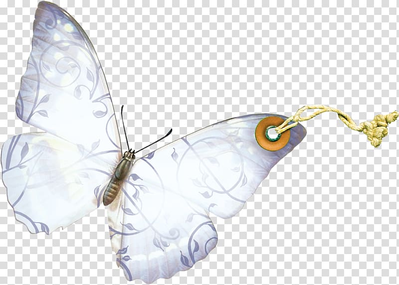 Brush-footed butterflies Butterfly Insect Silkworm Wing, butterfly transparent background PNG clipart