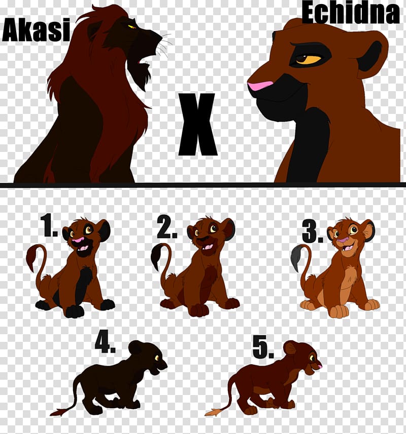 Lion Dog Cat Mammal , Power Horse transparent background PNG clipart