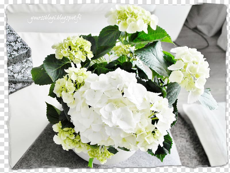 Hydrangea Cut flowers Floral design Flower bouquet Yours Clothing, koppa transparent background PNG clipart