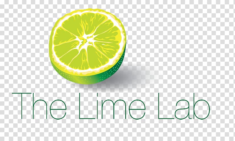 Key lime Persian lime Lemon Digital marketing, lime transparent background PNG clipart