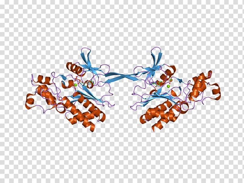 GSTM2 glutathione S-transferase M2 (muscle), ebi transparent background PNG clipart